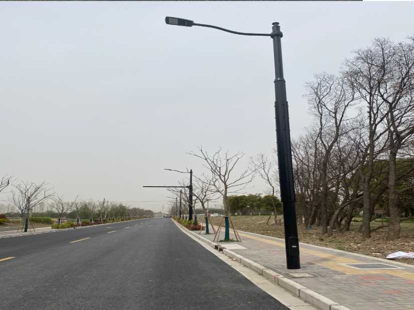 九龙坡区上海综合杆 太阳能路灯工程
